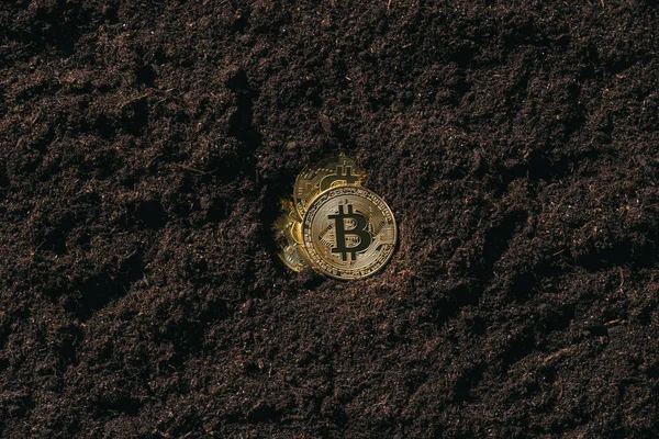 Top view of arranged golden bitcoins in ground — Stock Photo