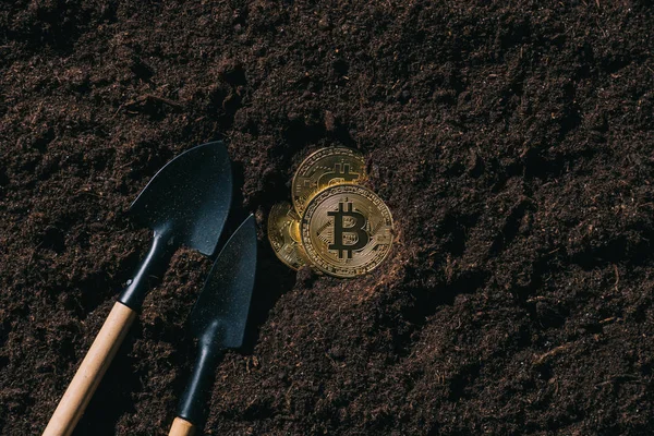 Vista superior de herramientas de jardinería arregladas y bitcoins de oro en el suelo - foto de stock