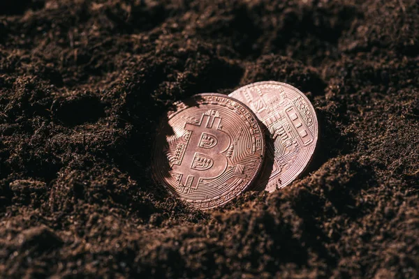 Close up view of bronze bitcoins in ground — Stock Photo