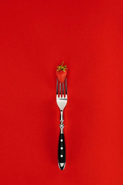 Red strawberry on a fork isolated on red background — Stock Photo