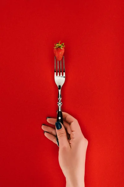 Weibliche Hand hält Gabel mit Erdbeere isoliert auf rotem Hintergrund — Stockfoto