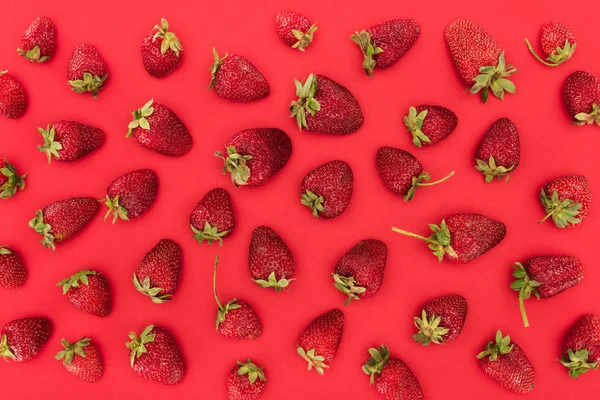 Top view of raw strawberries isolated on red background — Stock Photo