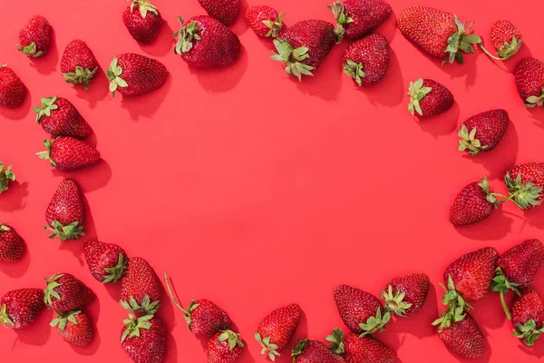 Cadre de fraises juteuses crues sur fond rouge — Photo de stock