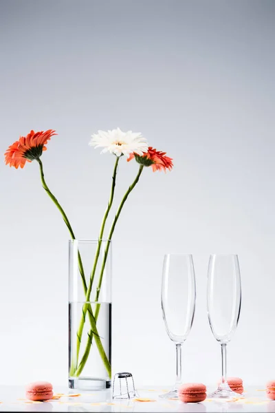 Close up view of empty glasses, macarons and bouquet of gerbera flowers on grey background — Stock Photo