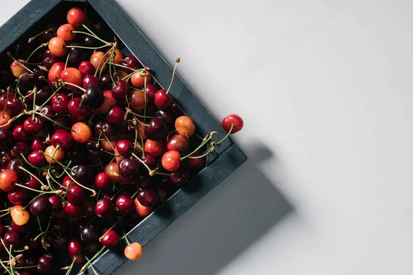 Вид зверху на свіжі стиглі солодкі вишні в дерев'яній коробці на білому — стокове фото