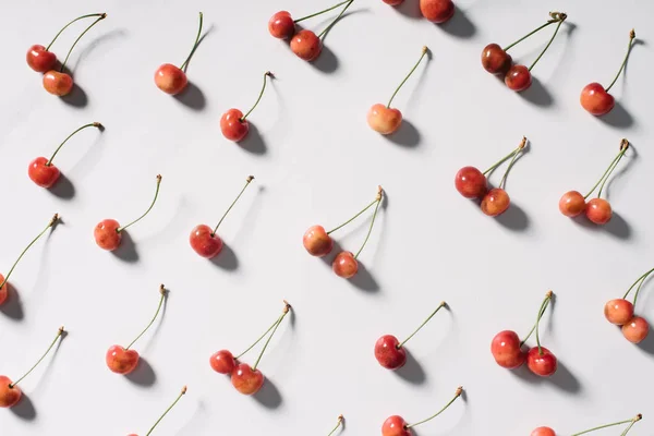 Vista superior de cerezas frescas maduras con sombras sobre fondo blanco y orgánico - foto de stock