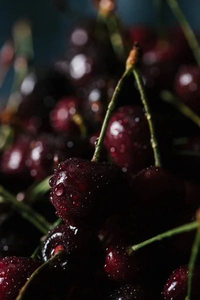 Vista close-up de cerejas frescas maduras doces molhadas, foco seletivo — Fotografia de Stock