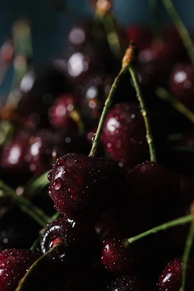 Vue rapprochée des cerises fraîches et sucrées, mise au point sélective — Photo de stock