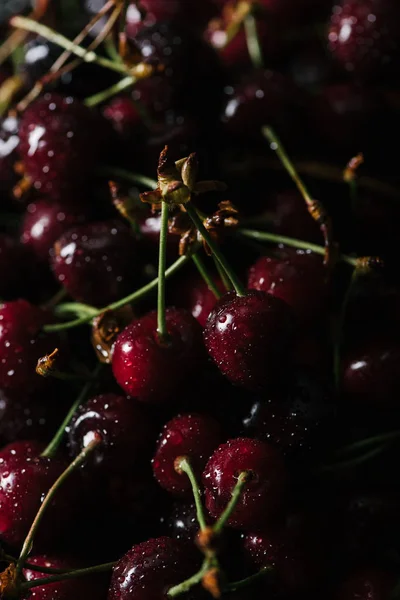 Vista de cerca de cerezas dulces frescas maduras con gotas de agua - foto de stock