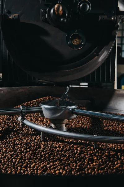 Roasting and mixing process in traditional coffee roaster cylinder — Stock Photo