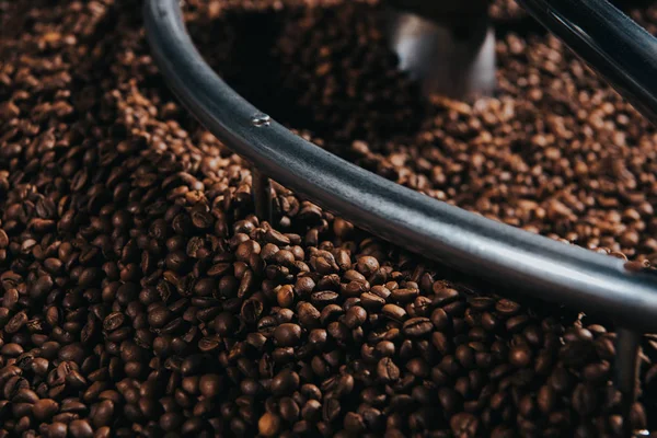 Traditional coffee roaster with coffee beans in cylinder — Stock Photo