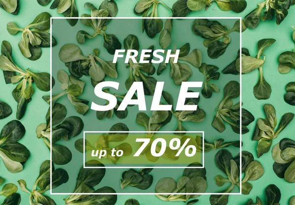 Vista superior de marco cuadrado blanco con palabras venta fresca y hermosas hojas verdes frescas en verde — Stock Photo