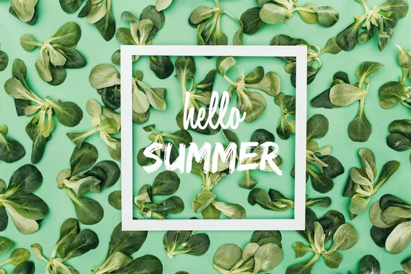 Top view of white square frame with words hello summer and beautiful fresh green leaves on green — Stock Photo