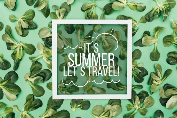 Top view of words its summer, lets travel in frame and beautiful fresh green leaves on green — Stock Photo