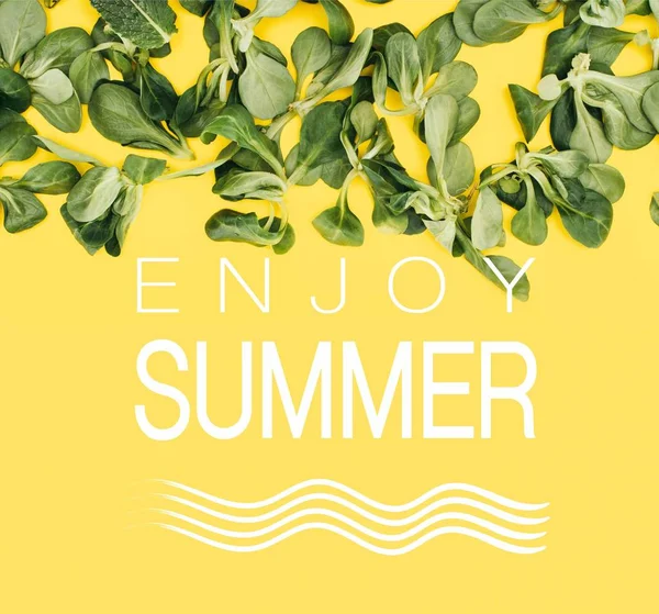 Hermosas hojas verdes frescas y palabras disfrutan del verano aislado en amarillo - foto de stock