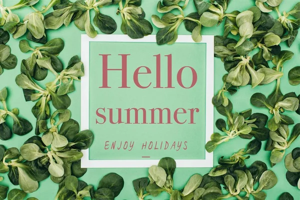 White frame with words hello summer, enjoy holidays and fresh green leaves on green — Stock Photo