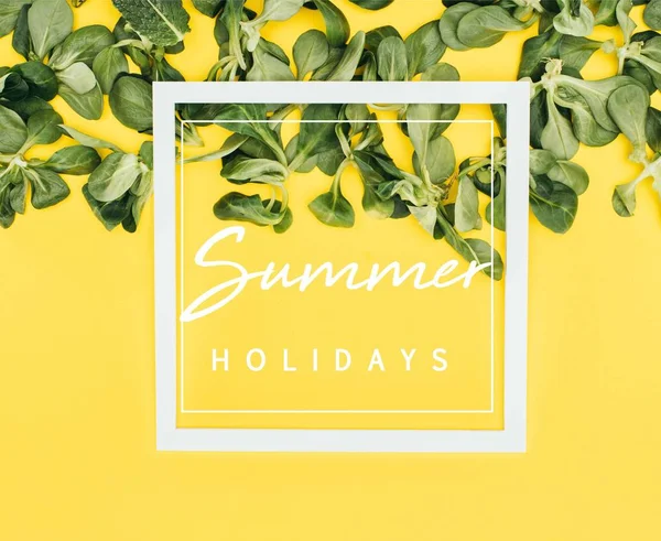 White frame with words summer holidays and green leaves on yellow — Stock Photo