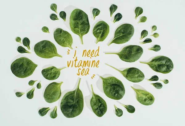 Top view of beautiful fresh green leaves and words i need vitamine sea isolated on grey — стоковое фото