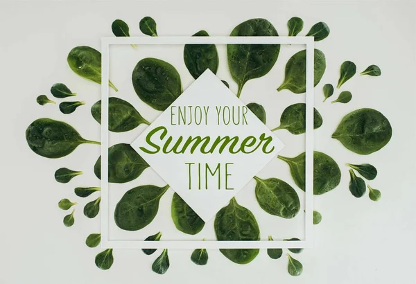 Top view of beautiful fresh green leaves with words enjoy your summer time on grey — Stock Photo