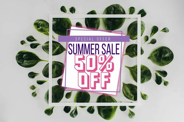 Top view of fresh green leaves and white square frames with text summer sale on grey — Stock Photo