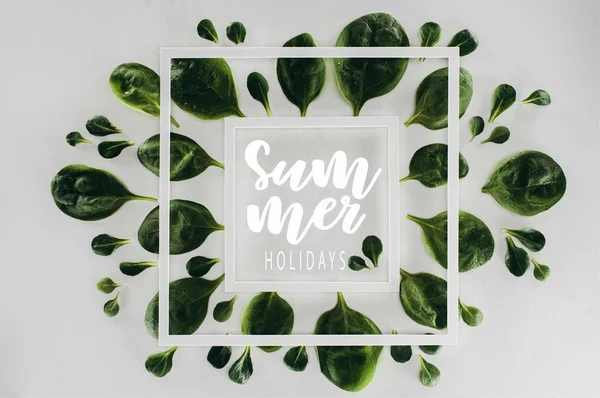 Top view of fresh green leaves and white square frames with words summer holidays on grey — Stock Photo