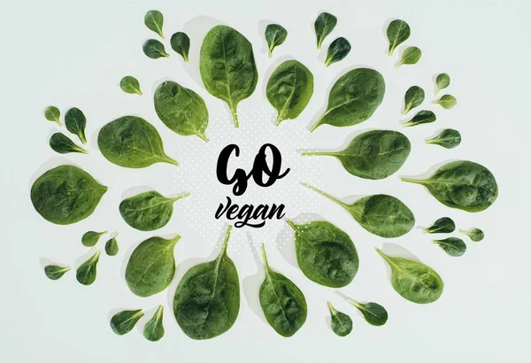 Top view of beautiful fresh green leaves and words go vegan isolated on grey — Stock Photo