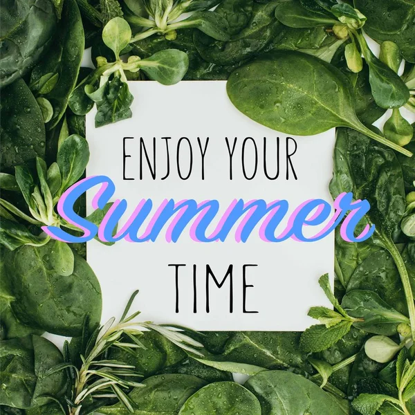 Вид сверху на белую карточку со словами Enjoy Your Summer Time and beautiful fresh green leaves — стоковое фото