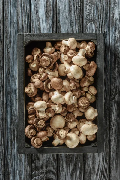 Top view of raw champignon mushrooms in box on wooden surface — Stock Photo