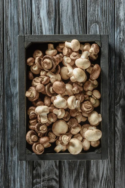 Vista superior de champiñones crudos en caja sobre superficie de madera - foto de stock