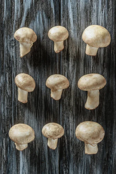 Top view of champignon mushrooms in rows on wooden surface — Stock Photo
