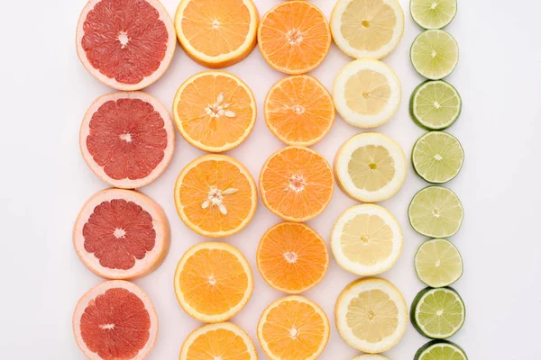 Top view of various citrus fruits slices in rows on white surface — Stock Photo