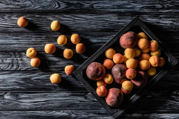Elevated view of tray with pile of peaches and apricots on wooden table — Stock Photo