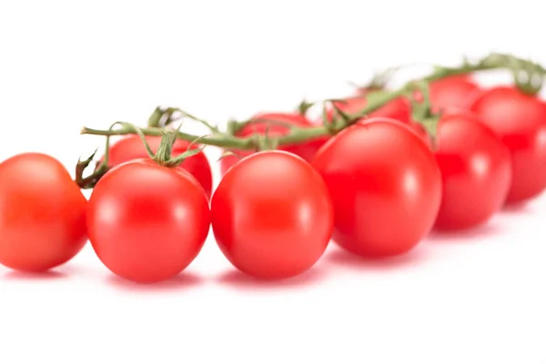 Vista de perto de tomates cereja maduros em galho isolado em branco — Fotografia de Stock