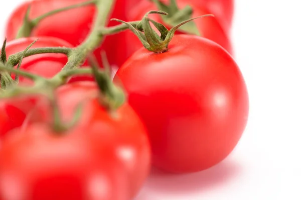 Selective focus of fresh cherry tomatoes on twig on white background — Stock Photo