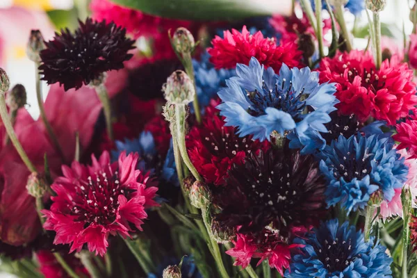 Vue rapprochée de magnifiques bleuets colorés, mise au point sélective — Photo de stock