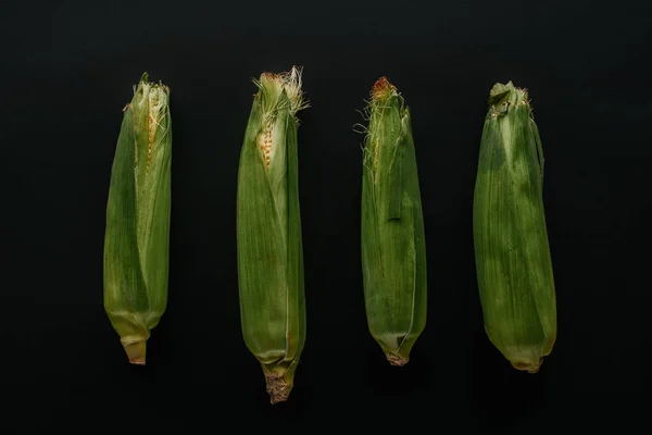 Plat couché avec disposé épis de maïs frais crus isolés sur noir — Photo de stock