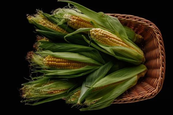 Top view of fresh corn cobs in basket isolated on black — Stock Photo