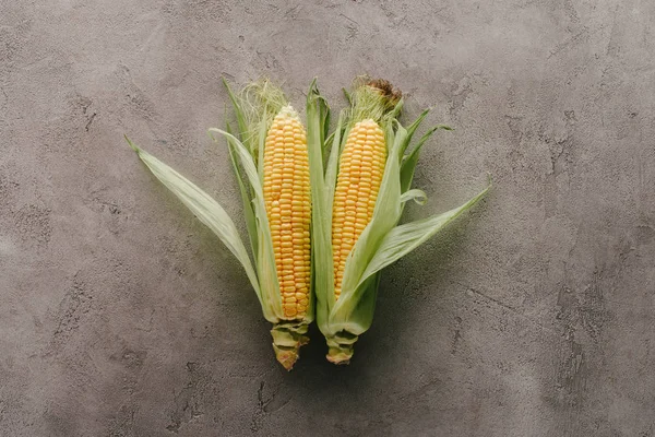 Vista superior de mazorcas de maíz crudas sobre superficie de hormigón gris - foto de stock