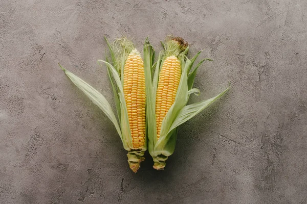 Top view of raw corn cobs on grey concrete surface — Stock Photo