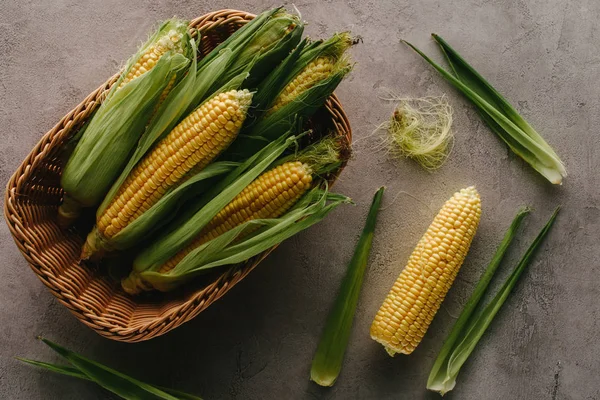 Top view of fresh raw corn cobs in basket on concrete surface — Stock Photo