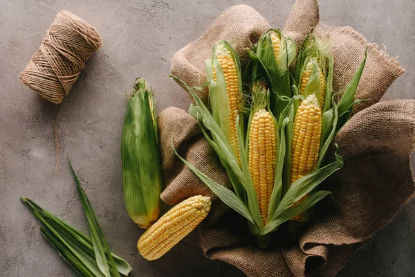 Flat lay with ripe corn cobs on sack cloth and rope on grey concrete tabletop — Stock Photo