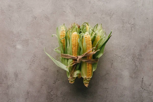 Top view of fresh corn cobs tied with rope on grey concrete surface — Stock Photo