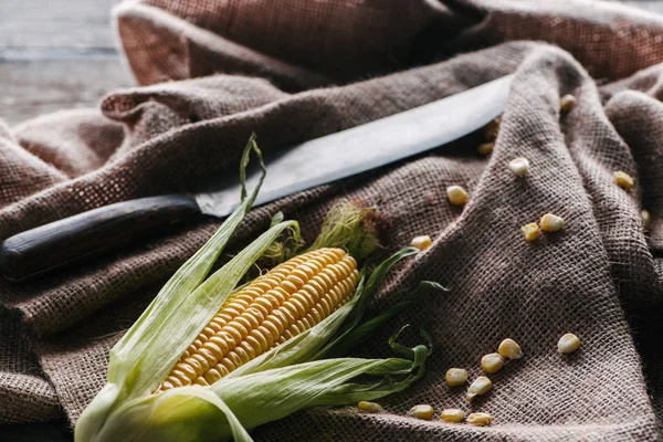 Vista de cerca de mazorca de maíz crudo, granos y cuchillo en tela de saco en la superficie de madera - foto de stock