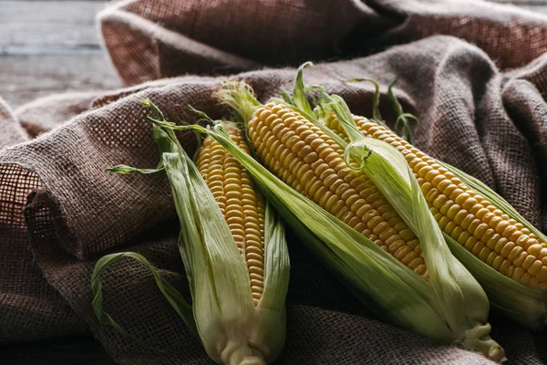 Vista de perto de espigas de milho no pano saco na mesa — Fotografia de Stock