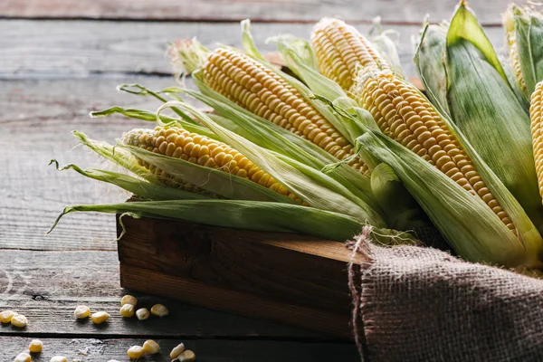 Close up view of raw corn cobs in box with sack cloth on wooden surface — Stock Photo