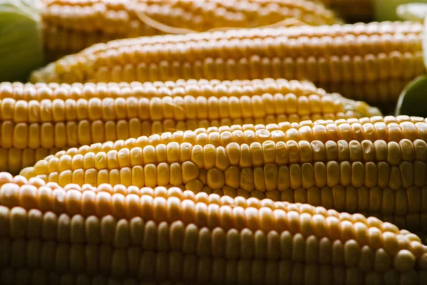 Vista de perto de espigas de milho cru como fundo — Fotografia de Stock