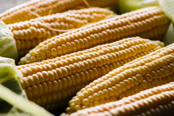 Close up view of raw corn cobs as background — Stock Photo