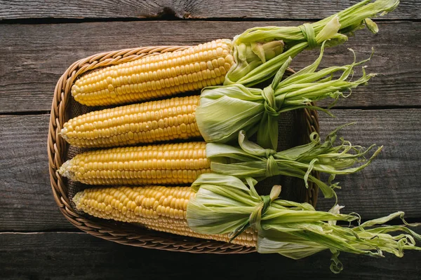 Vista superior de mazorcas de maíz frescas en canasta sobre mesa de madera — Stock Photo