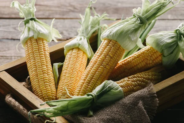 Close up view of ripe corn cobs in box with sack cloth on wooden surface — Stock Photo