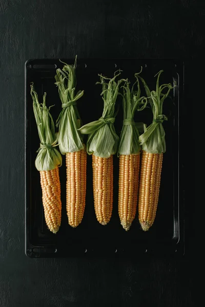 Top view of fresh raw corn cobs on black baking pan on wooden tabletop — Stock Photo